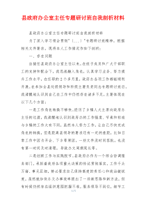 县政府办公室主任专题研讨班自我剖析材料