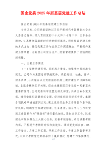 国企党委2025年抓基层党建工作总结