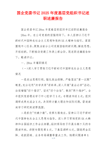 国企党委书记2025年度基层党组织书记述职述廉报告