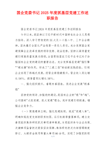 国企党委书记2025年度抓基层党建工作述职报告