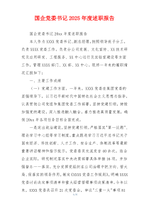 国企党委书记2025年度述职报告