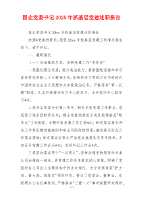国企党委书记2025年抓基层党建述职报告