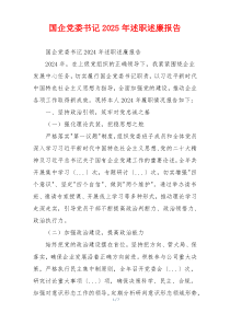 国企党委书记2025年述职述廉报告
