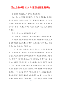 国企党委书记2025年述职述德述廉报告