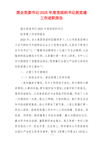 国企党委书记202X年度党组织书记抓党建工作述职报告