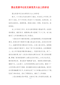 国企党委书记在支部党员大会上的讲话