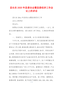 县长在2025年县委全会暨县委经济工作会议上的讲话