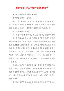 国企党委书记年度述职述廉报告