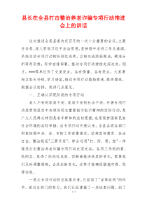 县长在全县打击整治养老诈骗专项行动推进会上的讲话