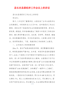县长在县委经济工作会议上的讲话