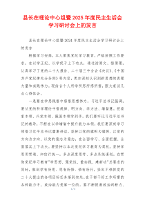 县长在理论中心组暨2025年度民主生活会学习研讨会上的发言