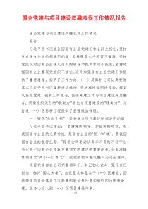 国企党建与项目建设双融双促工作情况报告
