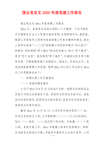 国企党总支2025年度党建工作报告