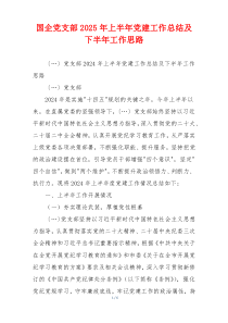 国企党支部2025年上半年党建工作总结及下半年工作思路