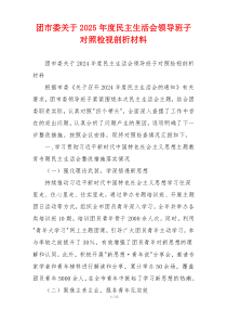 团市委关于2025年度民主生活会领导班子对照检视剖析材料