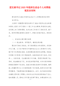 团支部书记2025年组织生活会个人对照检视发言材料