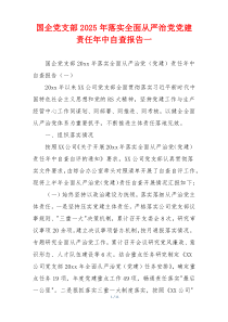 国企党支部2025年落实全面从严治党党建责任年中自查报告一