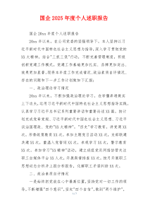 国企2025年度个人述职报告