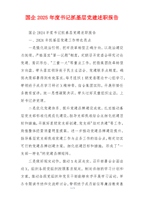 国企2025年度书记抓基层党建述职报告