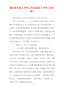 国企党支部上半年工作总结及下半年工作计划3