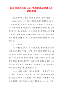 国企党支部书记2025年度抓基层党建工作述职报告