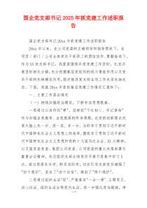 国企党支部书记2025年抓党建工作述职报告