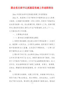 国企党支部书记抓基层党建工作述职报告