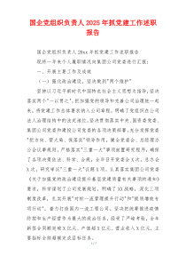 国企党组织负责人2025年抓党建工作述职报告