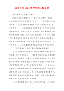 国企公司2025年度党建工作要点