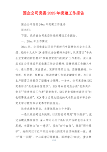 国企公司党委2025年党建工作报告