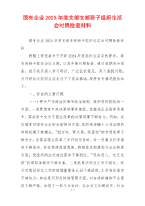 国有企业2025年党支部支部班子组织生活会对照检查材料