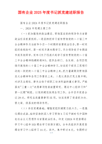 国有企业2025年度书记抓党建述职报告
