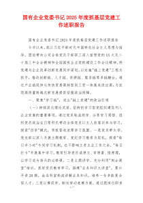 国有企业党委书记2025年度抓基层党建工作述职报告