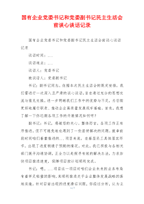 国有企业党委书记和党委副书记民主生活会前谈心谈话记录
