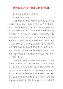 国有企业2025年党建工作年终汇报