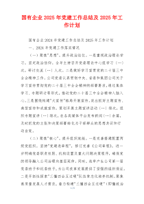 国有企业2025年党建工作总结及2025年工作计划
