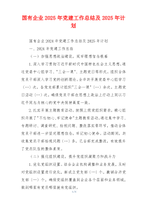 国有企业2025年党建工作总结及2025年计划