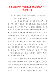 国有企业2025年党建工作情况总结及下一步工作计划