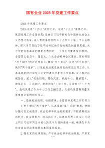 国有企业2025年党建工作要点