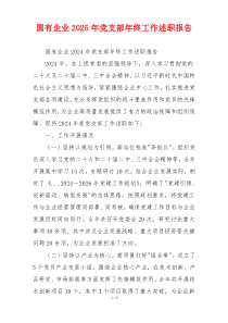 国有企业2025年党支部年终工作述职报告
