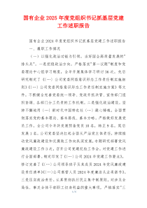 国有企业2025年度党组织书记抓基层党建工作述职报告