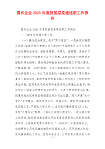 国有企业2025年度抓基层党建述职工作报告