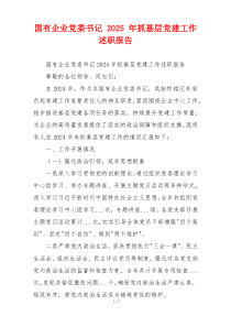 国有企业党委书记 2025 年抓基层党建工作述职报告