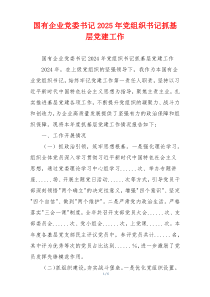 国有企业党委书记2025年党组织书记抓基层党建工作