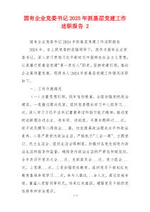 国有企业党委书记2025年抓基层党建工作述职报告 2