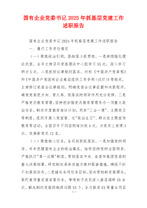 国有企业党委书记2025年抓基层党建工作述职报告