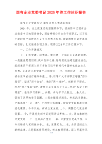国有企业党委书记2025年终工作述职报告