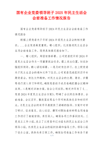 国有企业党委领导班子2025年民主生活会会前准备工作情况报告