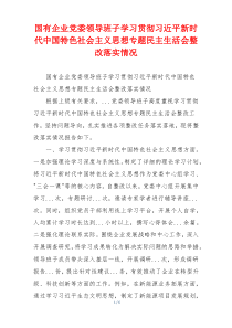 国有企业党委领导班子学习贯彻习近平新时代中国特色社会主义思想专题民主生活会整改落实情况
