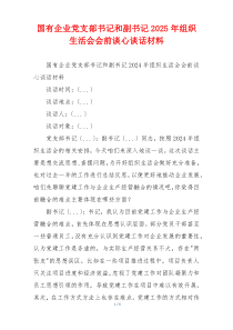 国有企业党支部书记和副书记2025年组织生活会会前谈心谈话材料